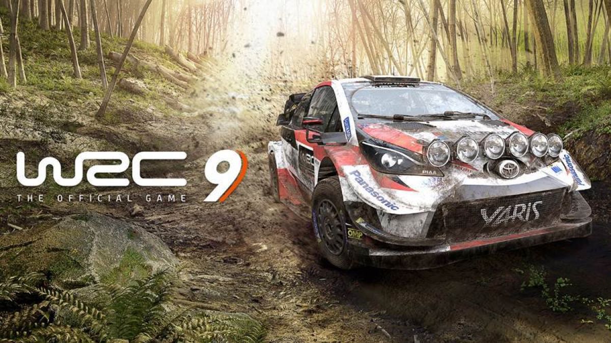 WRC 9 Nintendo Switch